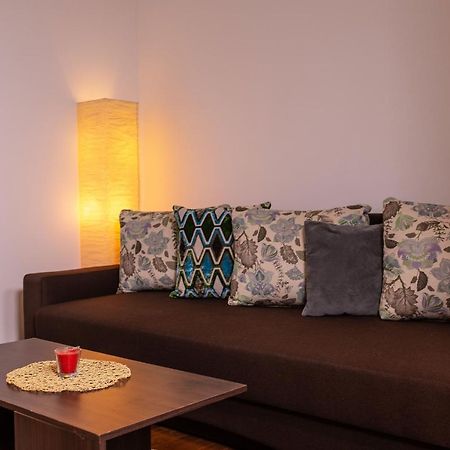 Alessia Apartment In The Old Town Тімішоара Екстер'єр фото
